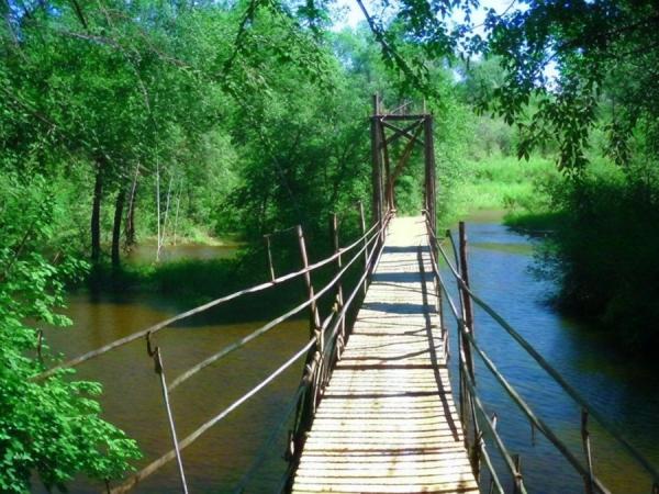 Parcheggia la foto “Deer Streams”