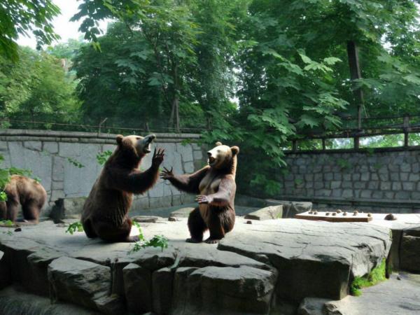 Foto dello zoo di Kaliningrad