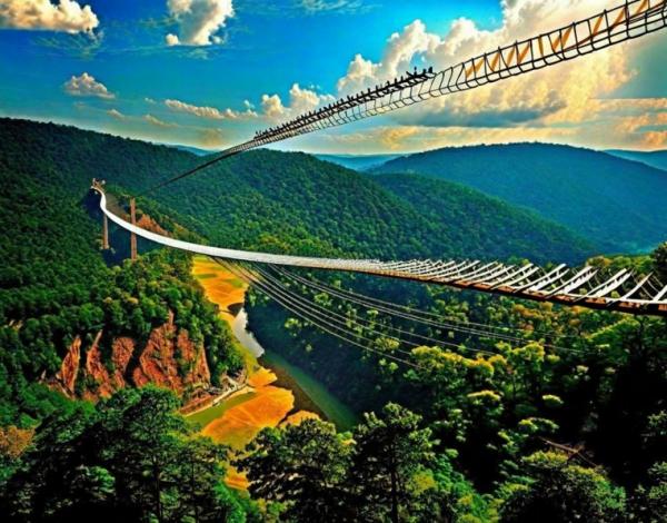 Foto del Parco Avventura "Skypark AJ Hackett Sochi"