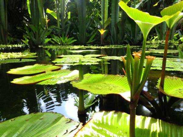 Foto del giardino botanico Mont Fleury