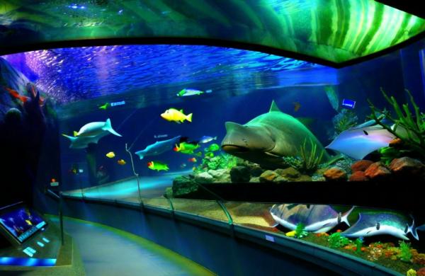 Foto di Oceanarium