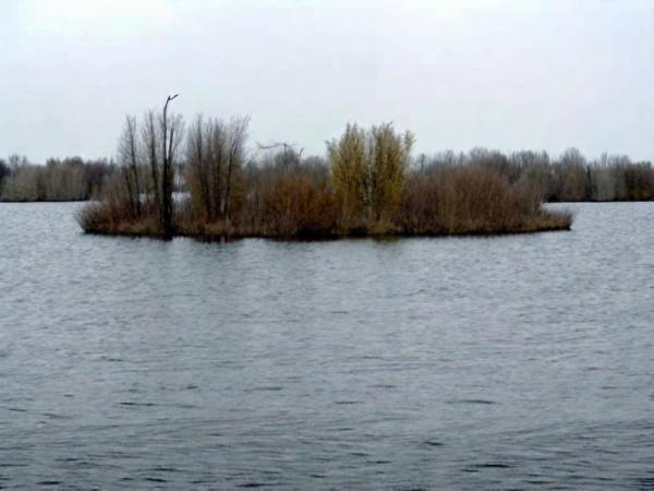 Foto di isole galleggianti