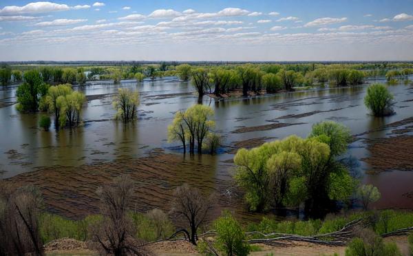 Foto del parco naturale “Volga-Akhtuba floodplain”