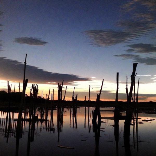 Foto della palude Bavaro